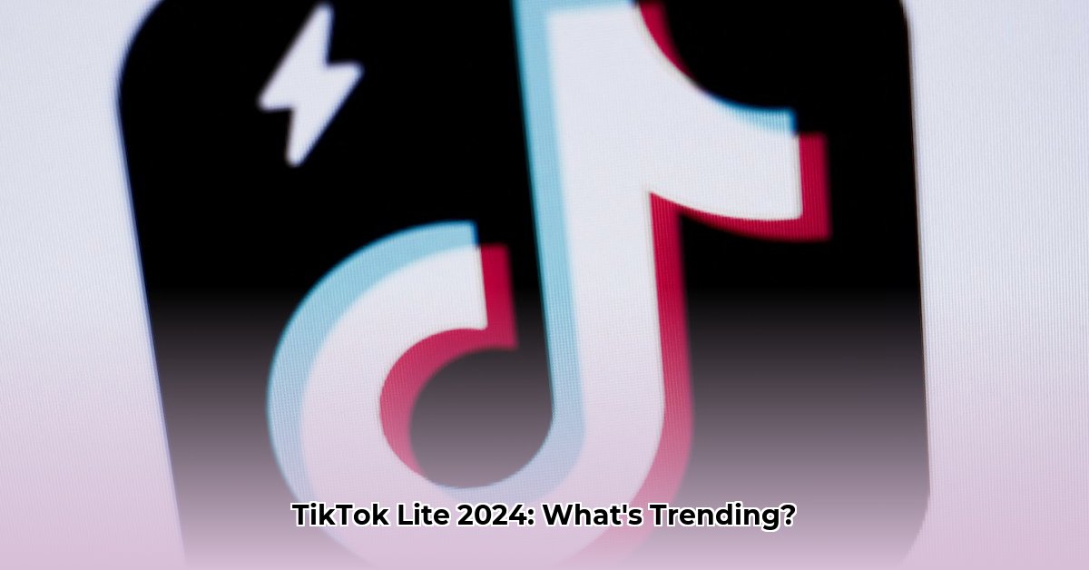 tiktok-lite-videos-2024